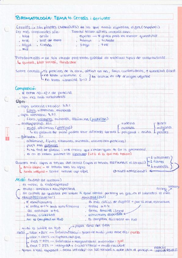 Miniatura del documento Tema-4-Cereals-i-derivats.pdf