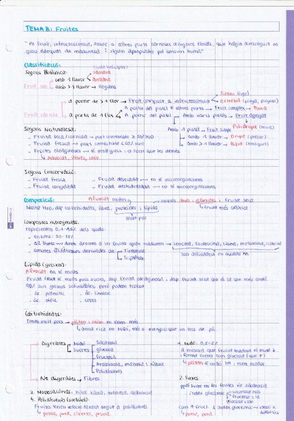 Miniatura del documento Tema-8-Fruites.pdf