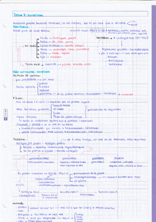 Miniatura del documento Tema-7-Hotalisses.pdf