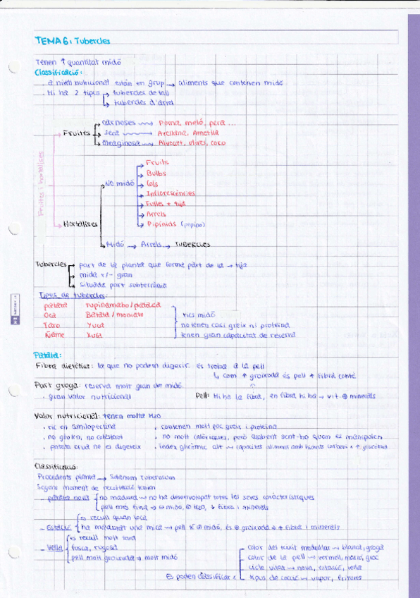 Miniatura del documento Tema-6-Tubercles.pdf