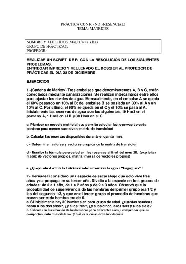 Miniatura del documento PRÀCTICA MATES MATRICES NO PRESENCIAL.pdf