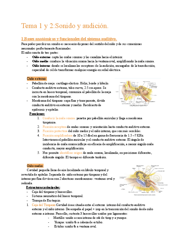 Miniatura del documento M2Tema-1-y-2-Sonido-y-audicion.pdf