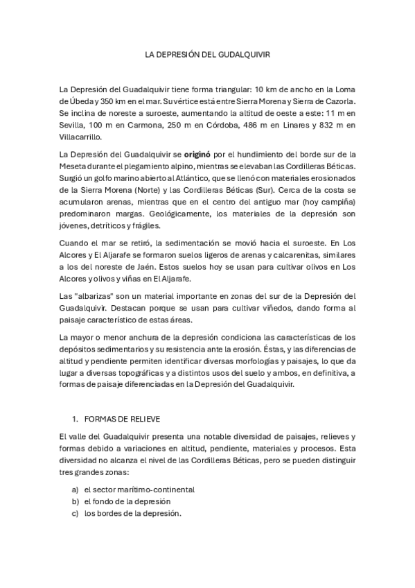 Miniatura del documento RESUMEN LECTURA - Depresión Guadalquivir.pdf