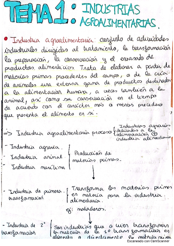 Miniatura del documento TEMA_1_RESUMEN.pdf