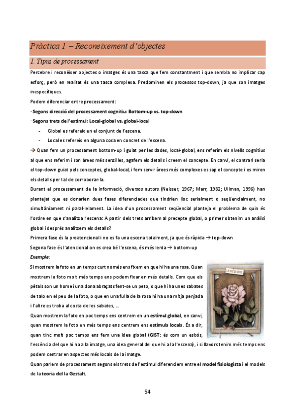 Miniatura del documento PRACTICA-1-BLOC-1-Percepcio-i-Atencio.pdf