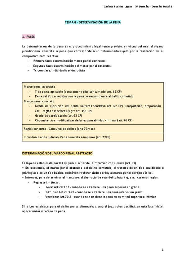 Miniatura del documento Tema-6.1-Derecho-Penal.pdf