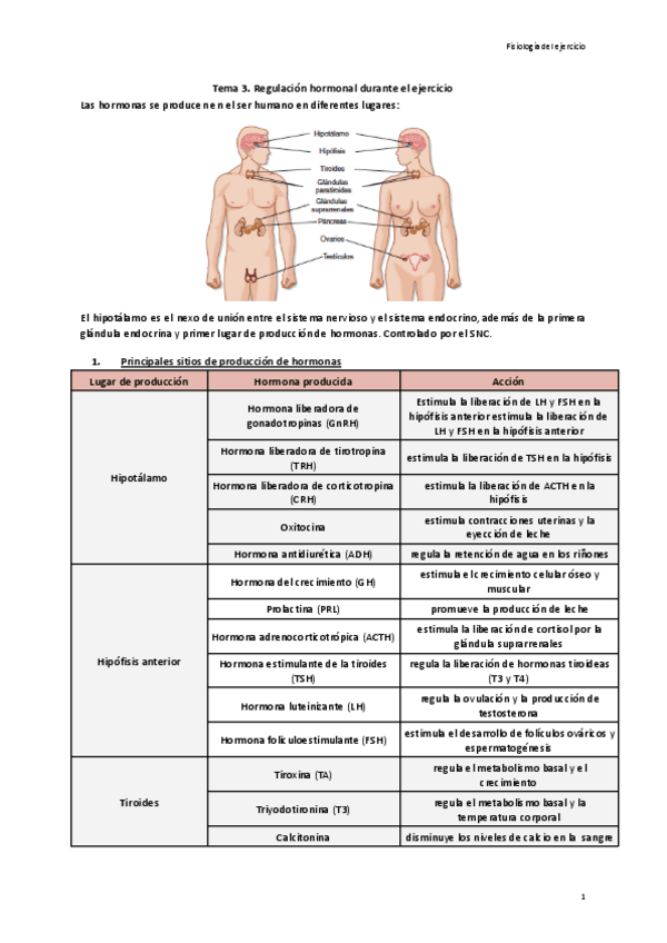Miniatura del documento Tema-3.-Regulacion-hormonal-durante-el-ejercicio.pdf