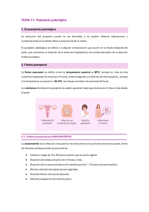 Miniatura del documento B3.-Tema-11.-Alteracion-de-Enfermeria-al-Puerperio-Patologico.pdf