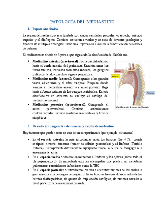 Miniatura del documento Patología del mediastino 2024/2025.pdf