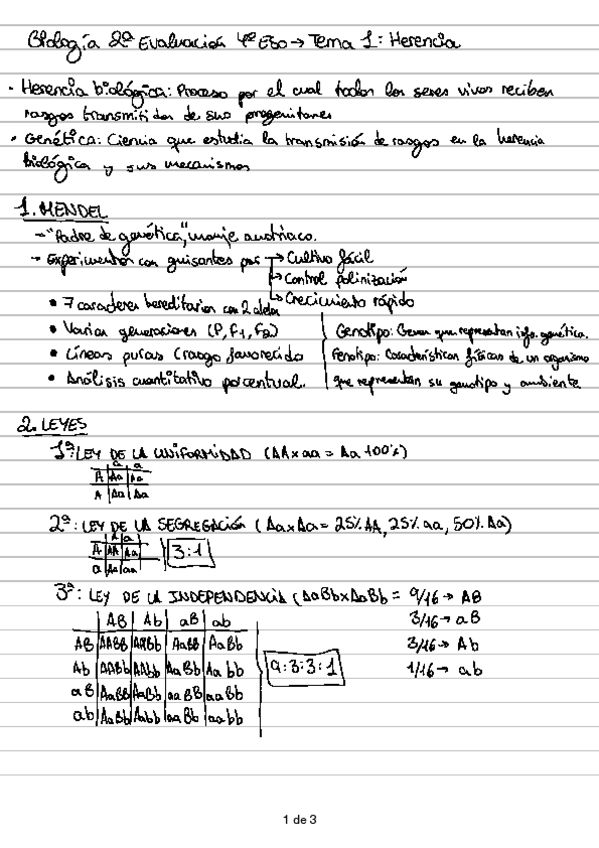 Miniatura del documento Herencia-genetica.pdf