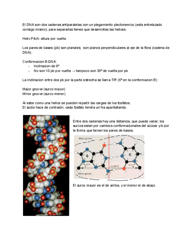 Miniatura del documento Apuntes-primer-parcial.pdf