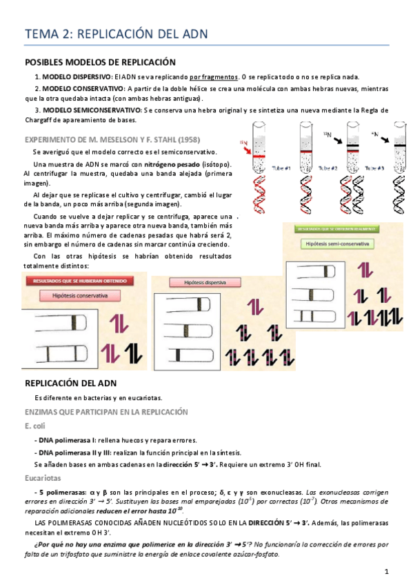 Miniatura del documento Tema 2 Genética.pdf