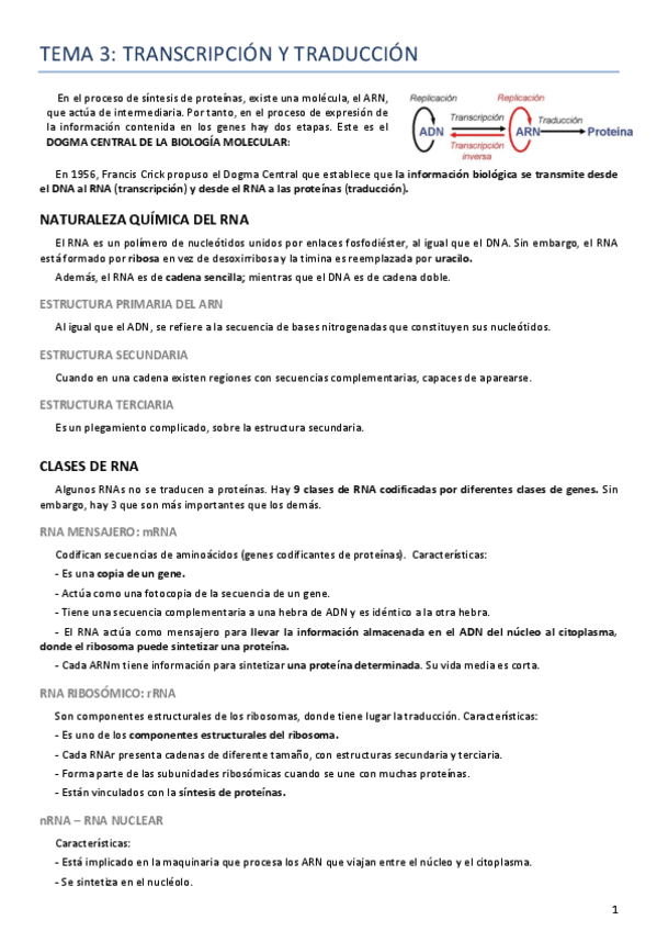 Miniatura del documento Tema 3 Genética.pdf