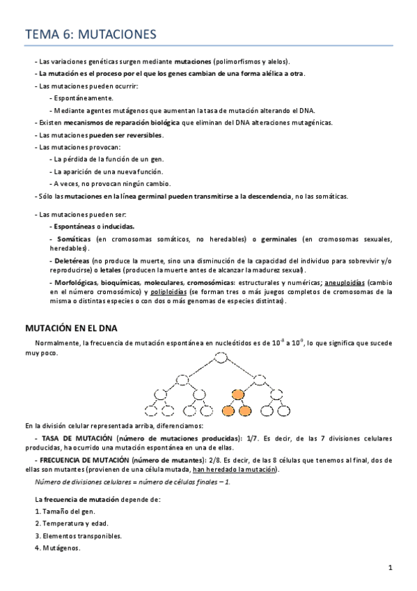 Miniatura del documento Tema 6 Genética.pdf