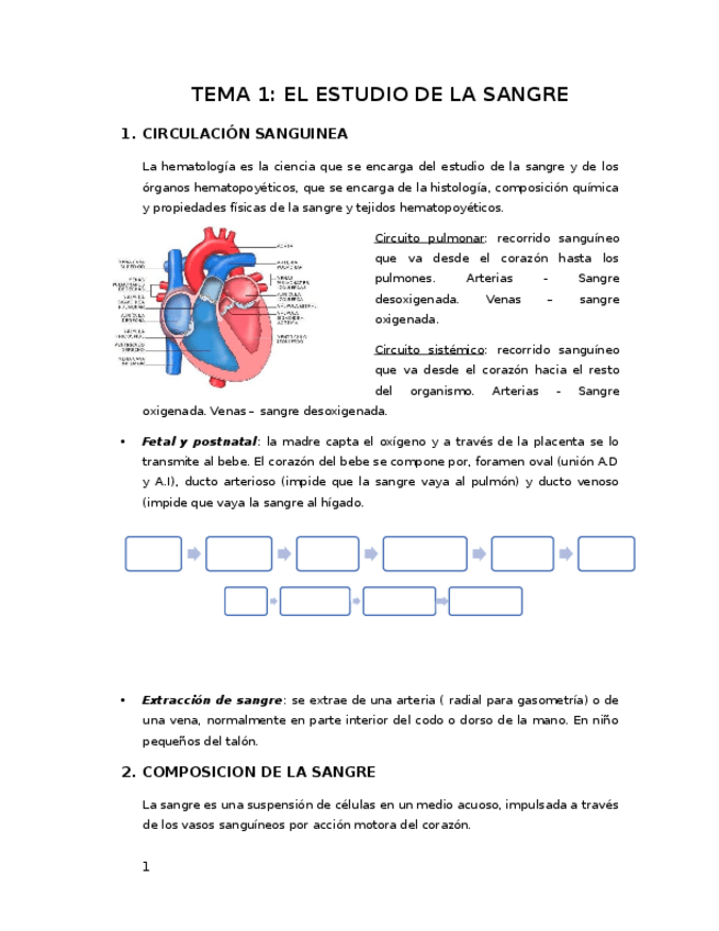 Miniatura del documento Tema-1-Estudio-de-la-sangre.docx