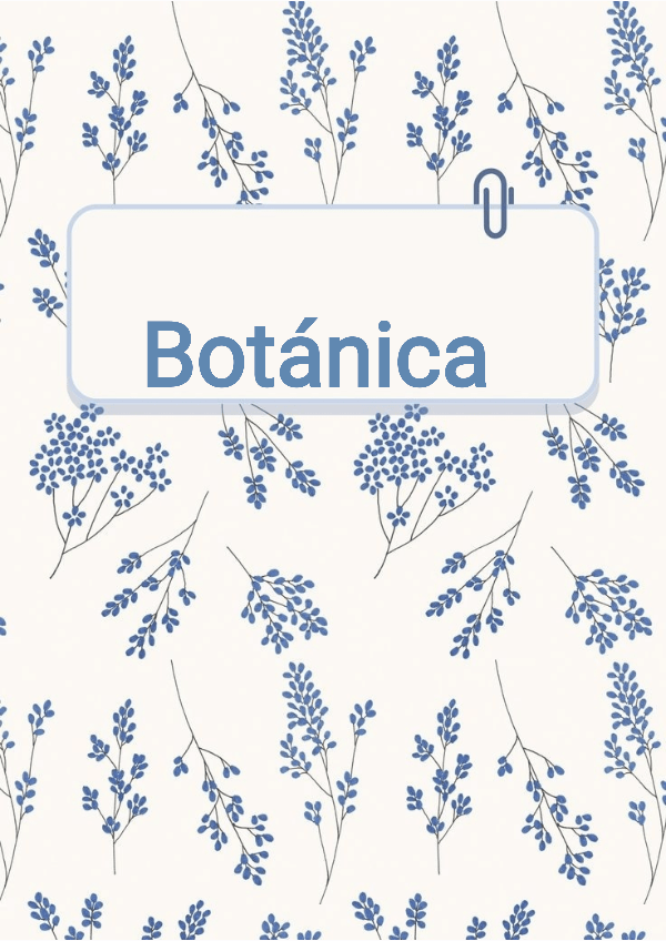 Miniatura del documento Botanica-240525111234.pdf