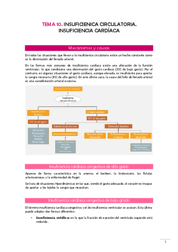Miniatura del documento TEMA-10-Fisiopato.pdf