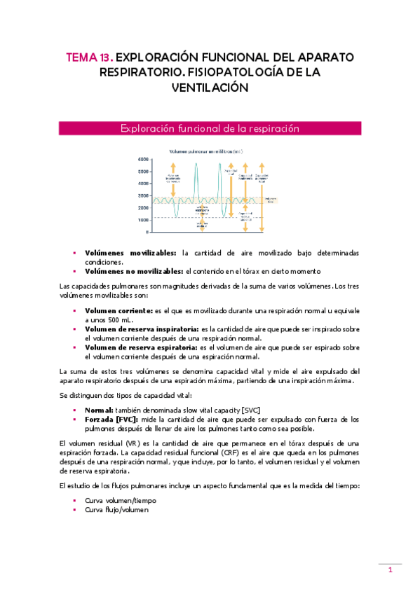 Miniatura del documento TEMA-13-Fisiopato.pdf