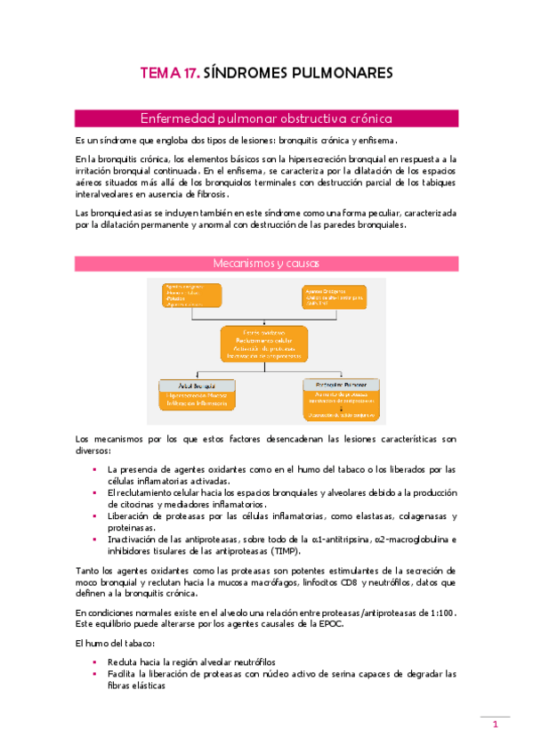 Miniatura del documento TEMA-17-Fisiopato.pdf