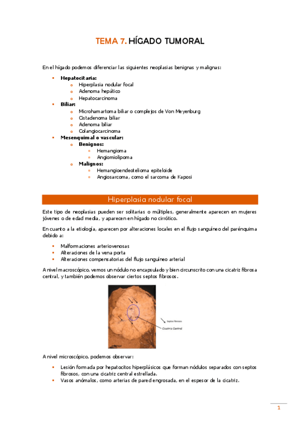 Miniatura del documento TEMA-7-Pato.pdf