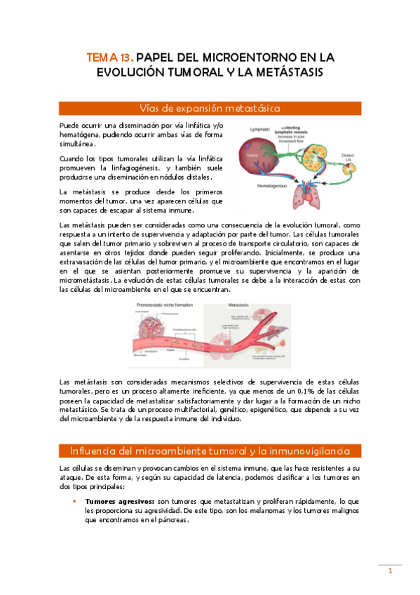 Miniatura del documento TEMA-13-Pato.pdf