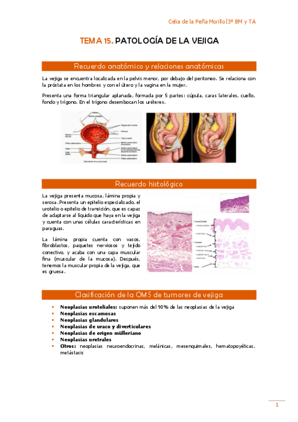Miniatura del documento TEMA-15-Pato.pdf