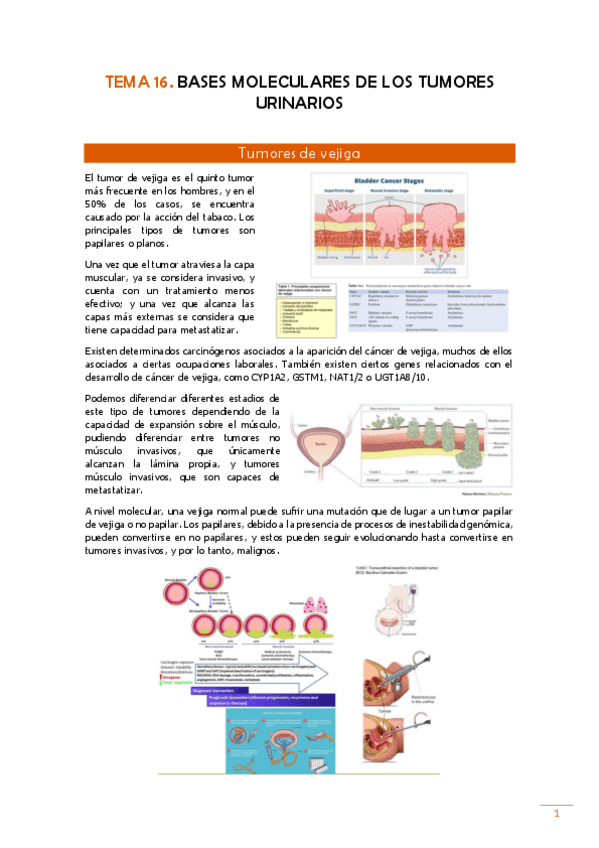 Miniatura del documento TEMA-16-Pato.pdf
