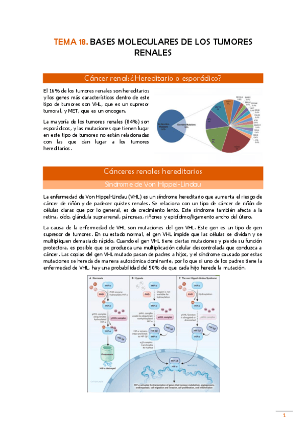 Miniatura del documento TEMA-18-Pato.pdf