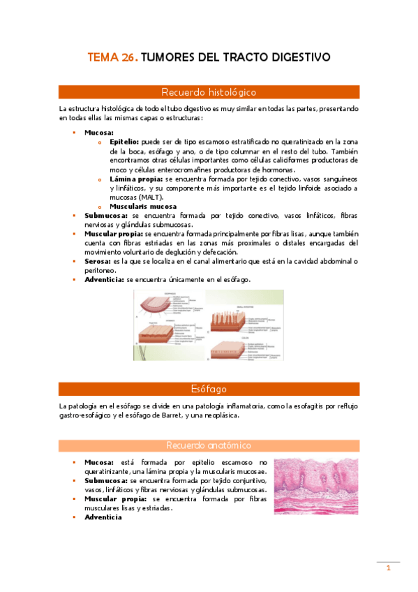 Miniatura del documento TEMA-26-Pato.pdf
