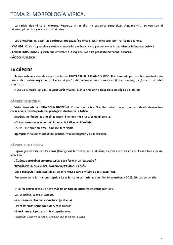 Miniatura del documento Tema 2 virología.pdf