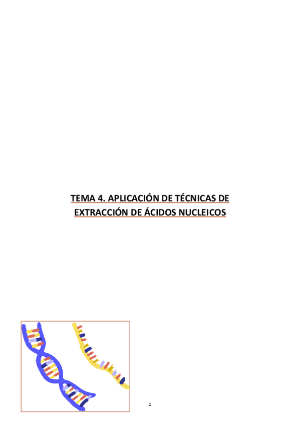 Miniatura del documento tema-4-biologia-pdf-Laura.pdf