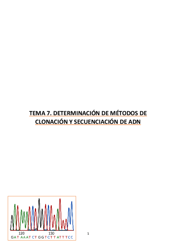 Miniatura del documento pdf.pdf