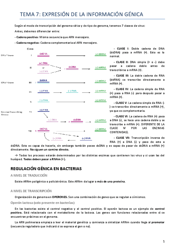 Miniatura del documento Tema 7 virología.pdf