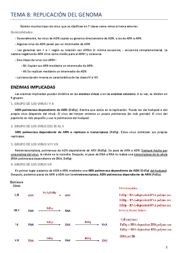 Miniatura del documento Tema 8 virología.pdf