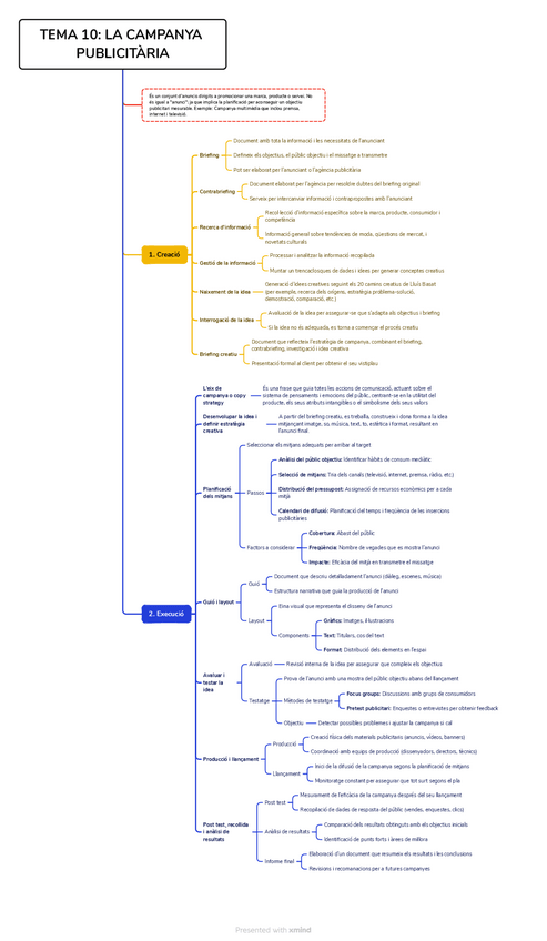 Miniatura del documento TEMA-10-LA-CAMPANYA-PUBLICITARIA.pdf