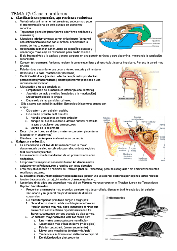 Miniatura del documento TEMA-17.pdf