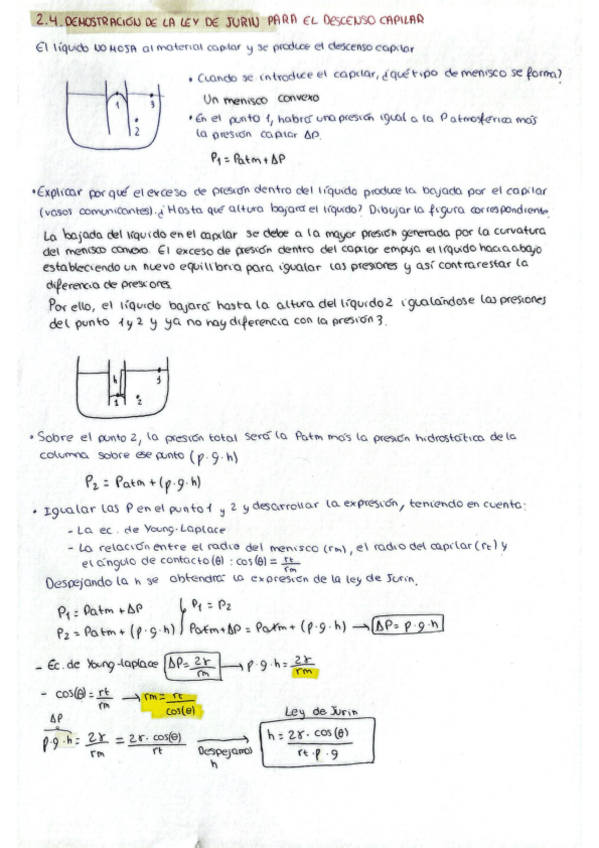 Miniatura del documento Demostracion-Ley-de-Jurin.pdf
