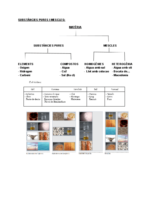 Miniatura del documento SUBSTANCIES-PURES-I-MESCLES.pdf