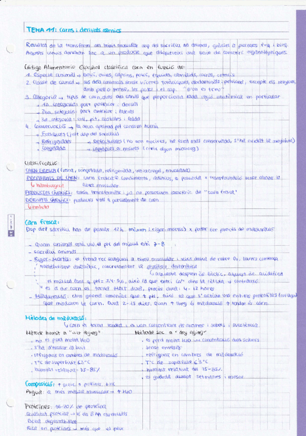 Miniatura del documento Tema-11-Carns-i-derivats-carnis.pdf