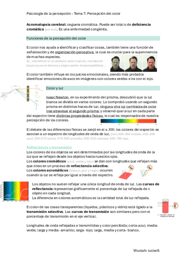 Miniatura del documento T.7-P.-Percepcion.pdf