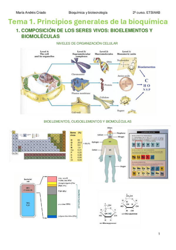 Miniatura del documento TEMA-1.-Principios-generales-de-la-bioquimica.pdf