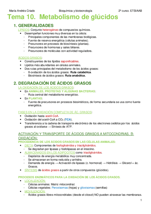 Miniatura del documento TEMA-10.-Metabolismo-de-lipidos.pdf