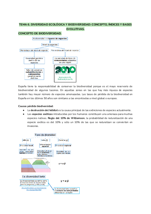 Miniatura del documento TEMA-6..pdf