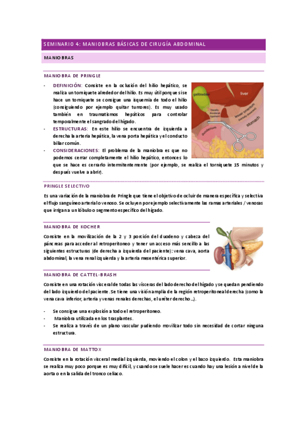 Miniatura del documento SEMINARIO-4-MANIOBRAS-BASICAS-DE-CIRUGIA-ABDOMINAL.pdf