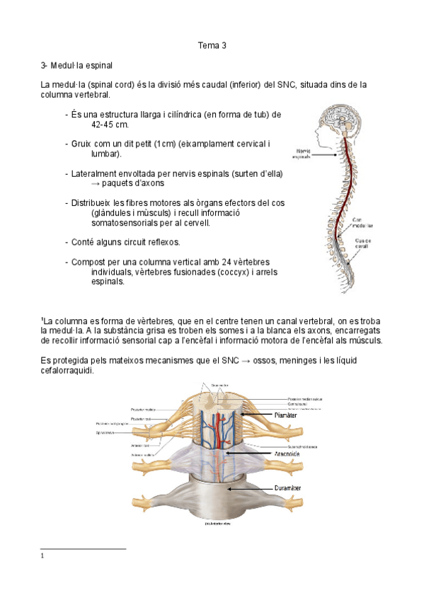 Miniatura del documento TEMA-3.pdf