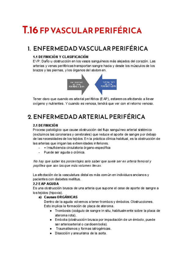 Miniatura del documento T.16-FP-VASCULAR-PERIFERICA.pdf