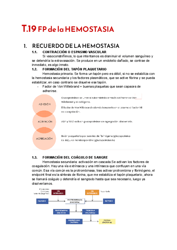 Miniatura del documento T.19-FP-Hemostasia.pdf