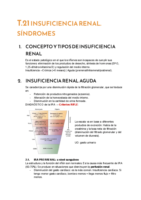Miniatura del documento T.21-Insuficiencia-Renal-Sindromes.pdf