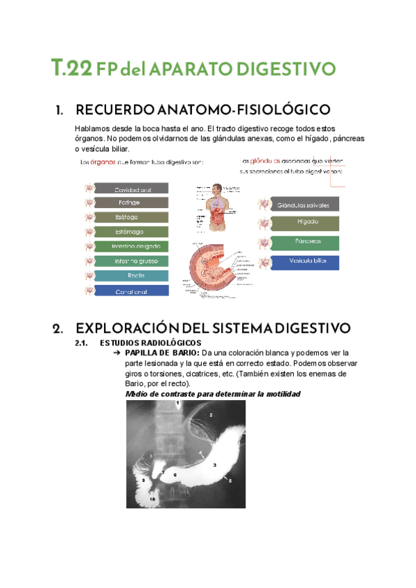 Miniatura del documento T.22-FP-Ap.Digestivo.pdf