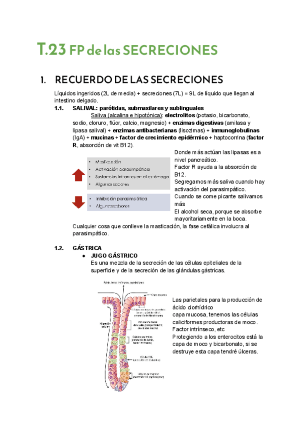 Miniatura del documento T.23-Secreciones.pdf